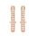 Hoop Earring