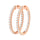 Hoop Earring